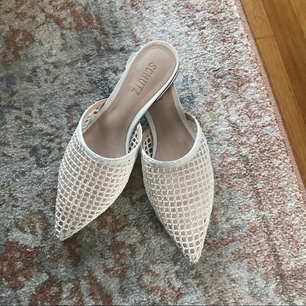 SCHUTZ Celine Mule (brand new)